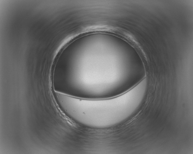 X0000052591328200507010929