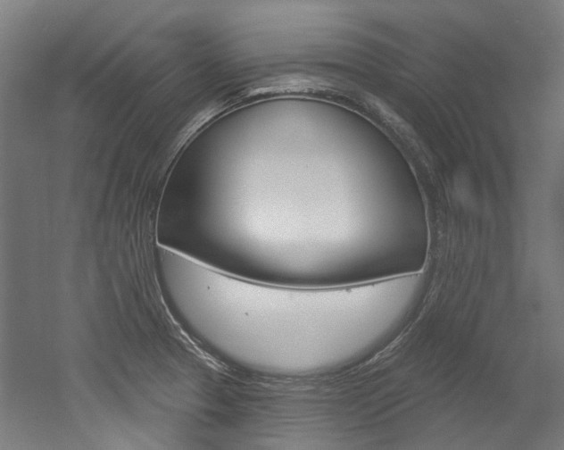 X0000052591329200507010929