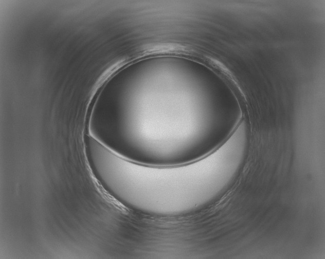 X0000052591330200507010929