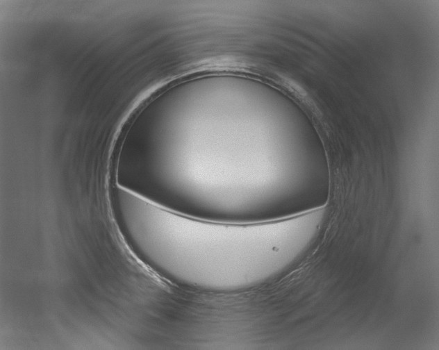 X0000052591331200507010929