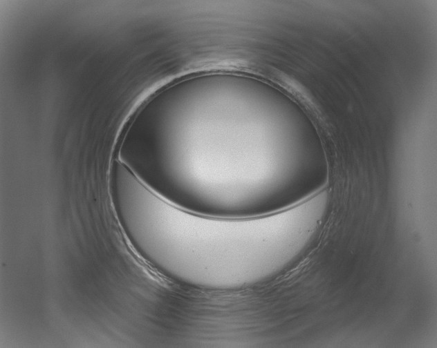X0000052591332200507010929