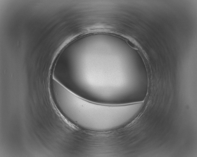X0000052591333200507010929