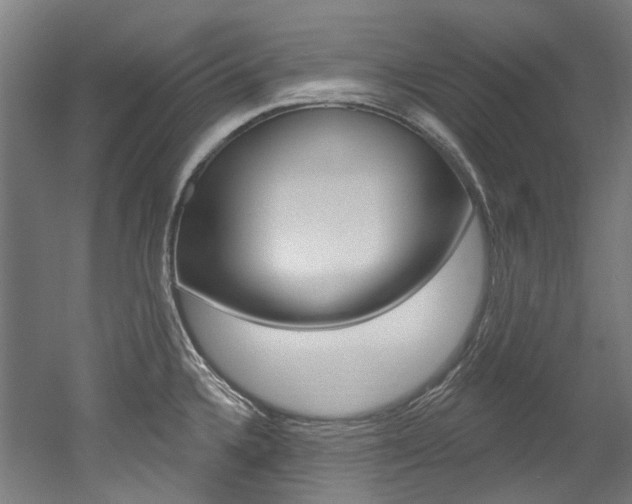 X0000052591336200507010929