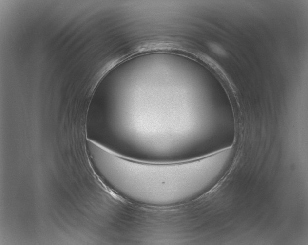 X0000052591337200507010929