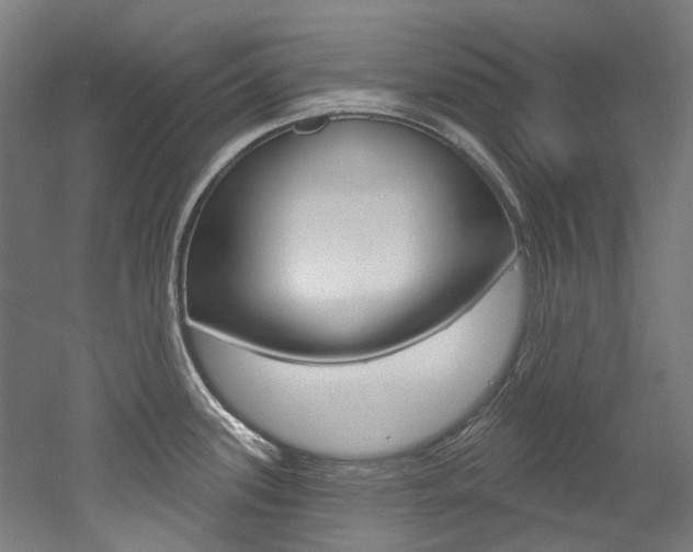 X0000052591339200507010929