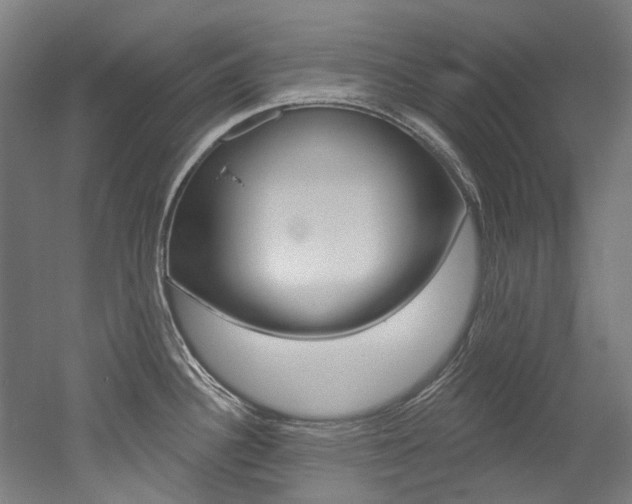 X0000052591340200507010929