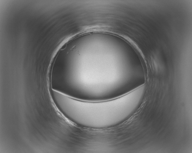 X0000052591341200507010929