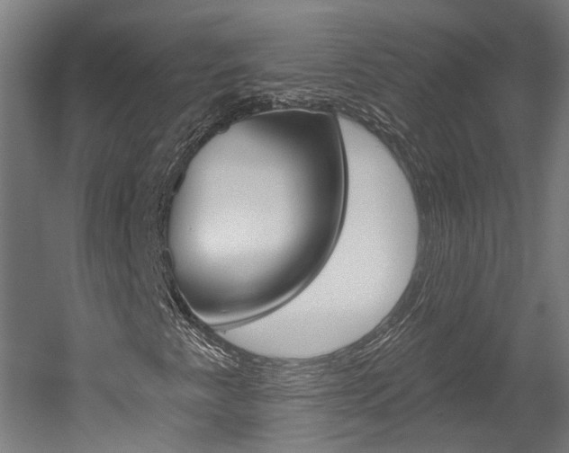 X0000052591345200507010929