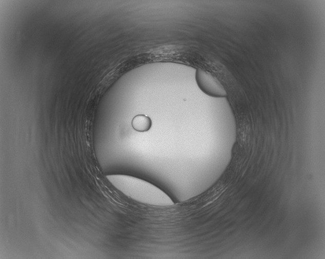 X0000052591346200507010929