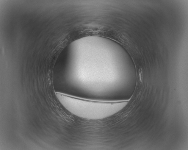 X0000052591347200507010929