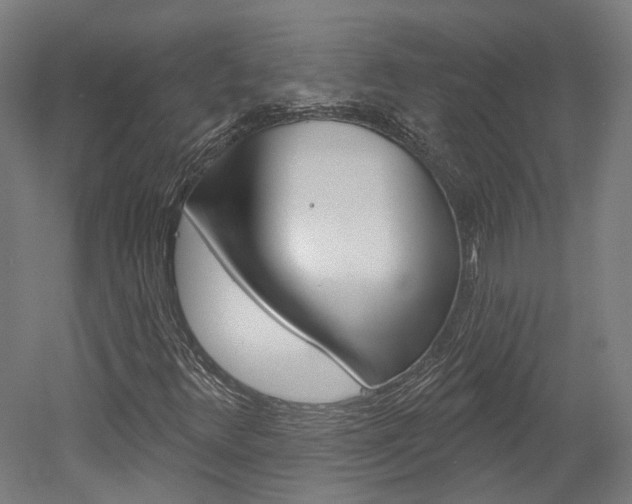 X0000052591348200507010929