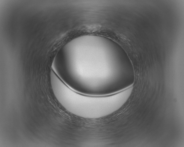 X0000052591349200507010929