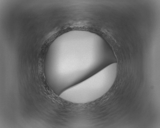 X0000052591350200507010929