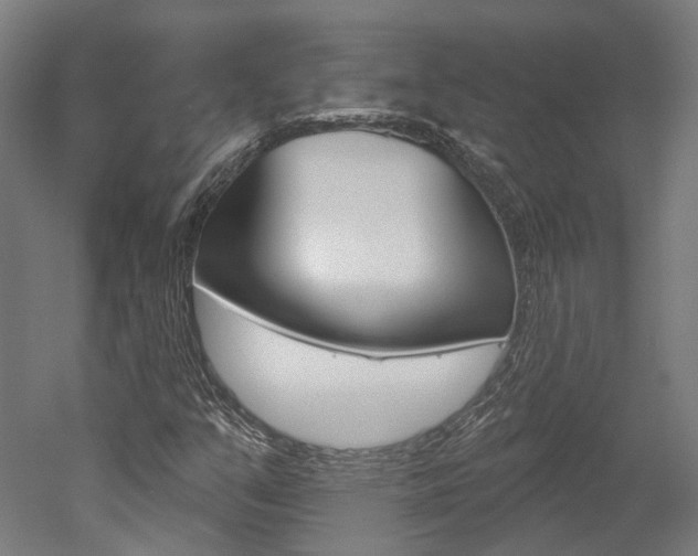 X0000052591351200507010929