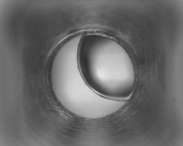 X0000052591352200507010929