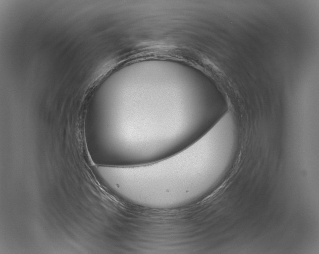 X0000052591354200507010929