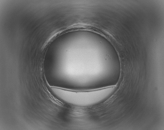 X0000052591355200507010929