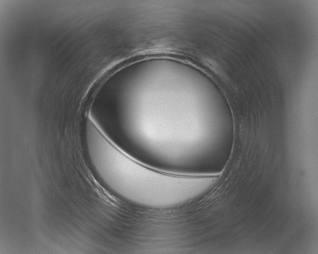 X0000052591356200507010929