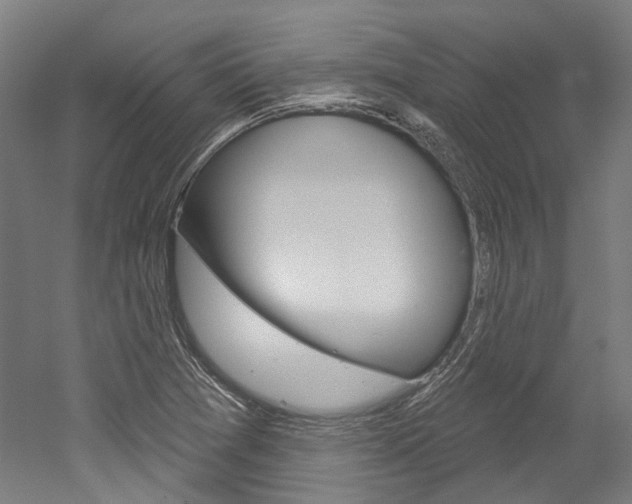 X0000052591361200507010928