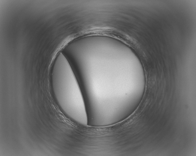 X0000052591362200507010928