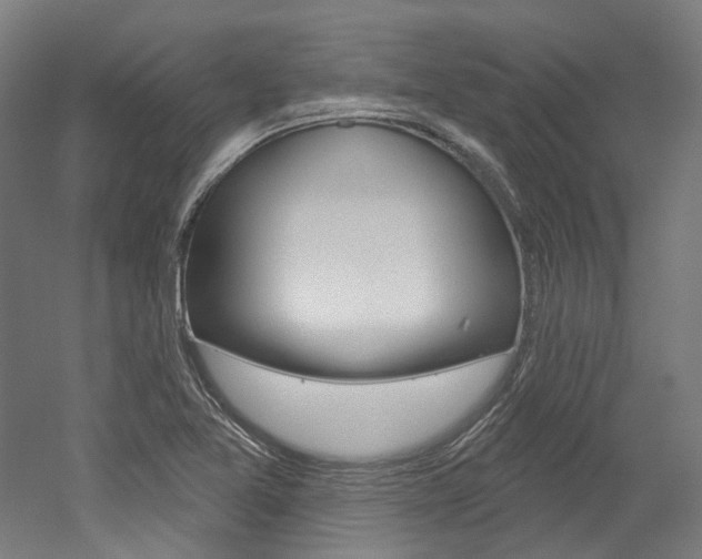 X0000052591365200507010928
