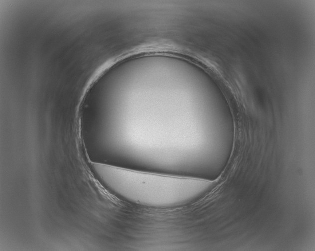 X0000052591366200507010928