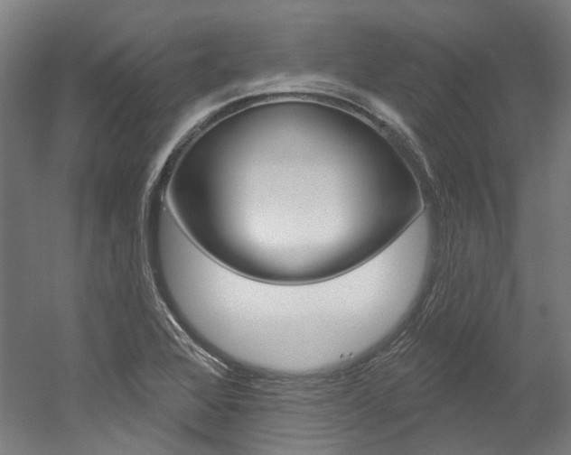 X0000052591368200507010928