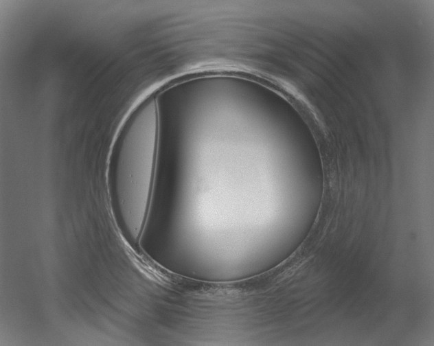 X0000052591372200507010928