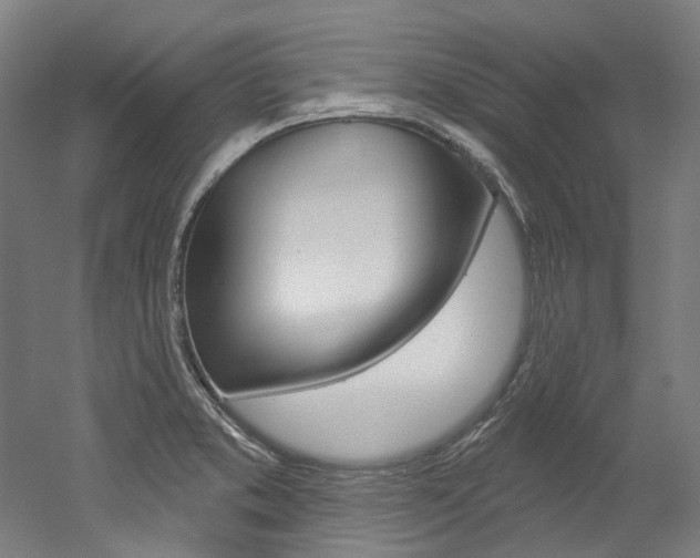 X0000052591373200507010928