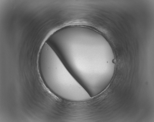 X0000052591374200507010928