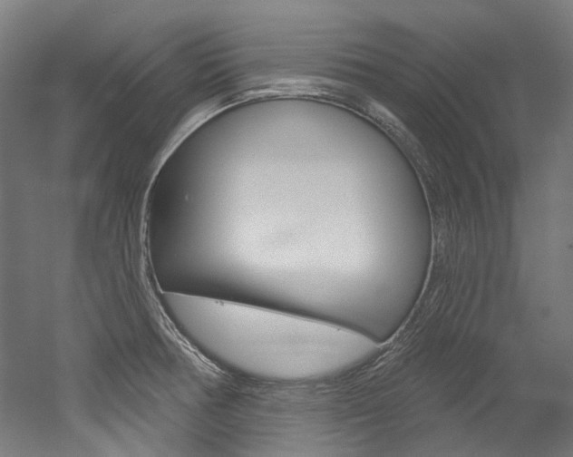X0000052591378200507010928