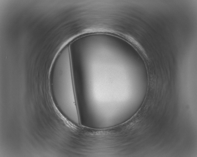 X0000052591380200507010928
