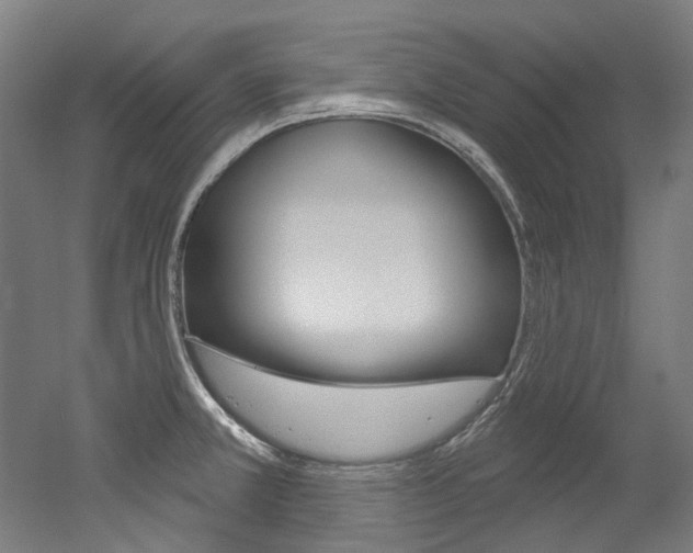 X0000052591381200507010928