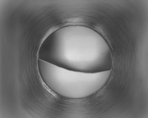 X0000052591386200507010928