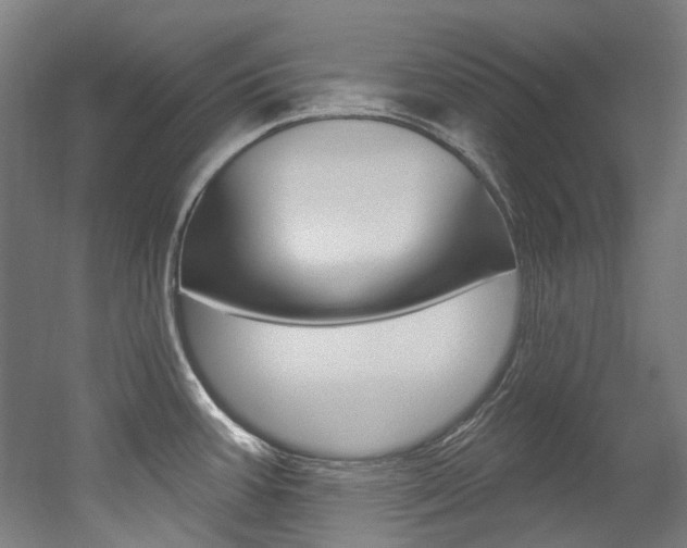 X0000052591387200507010928