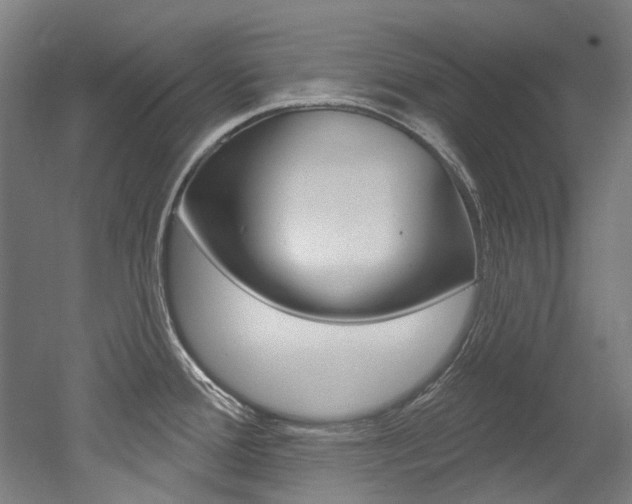 X0000052591388200507010928