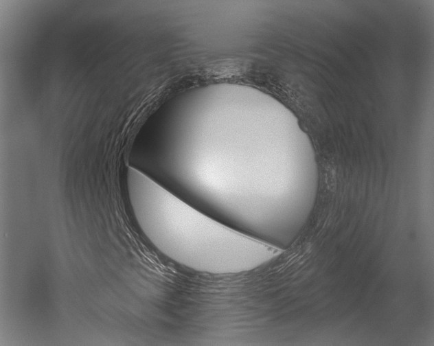 X0000052591393200507010927