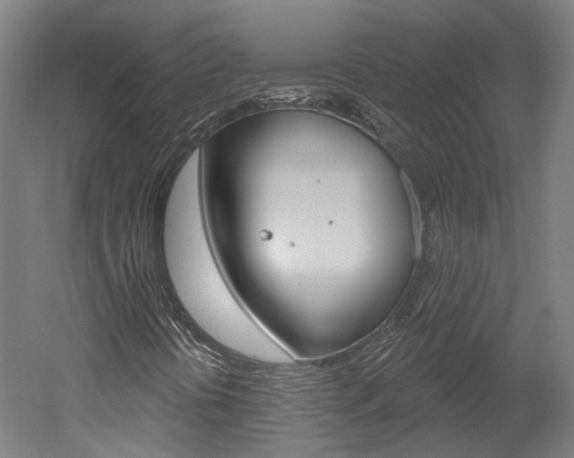 X0000052591394200507010927