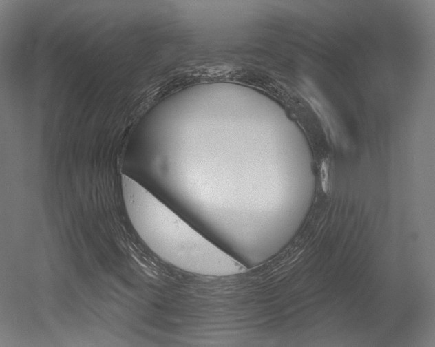 X0000052591395200507010927