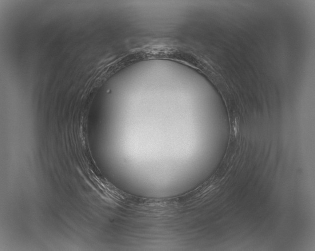 X0000052591396200507010927
