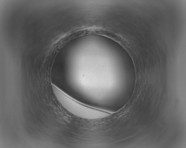 X0000052591398200507010927