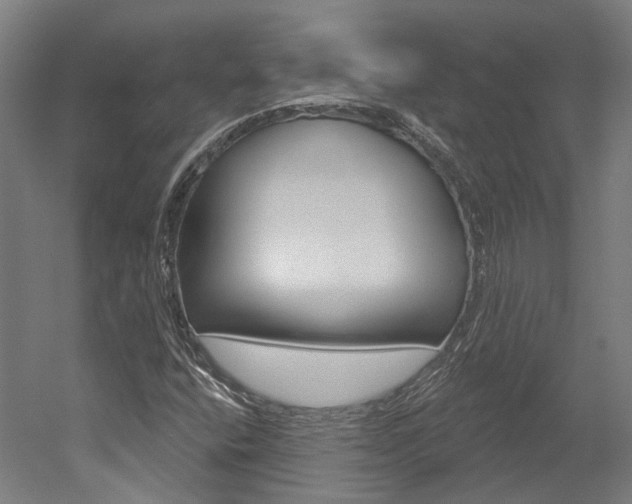 X0000052591400200507010927
