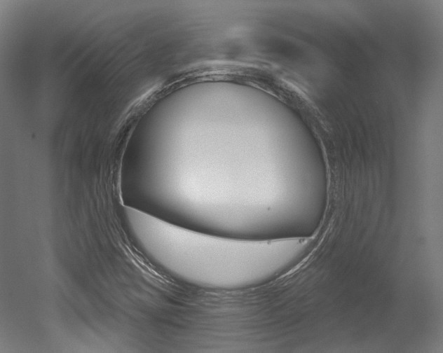 X0000052591403200507010927
