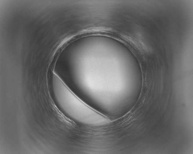 X0000052591404200507010927