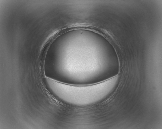 X0000052591406200507010927