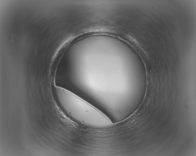 X0000052591408200507010927