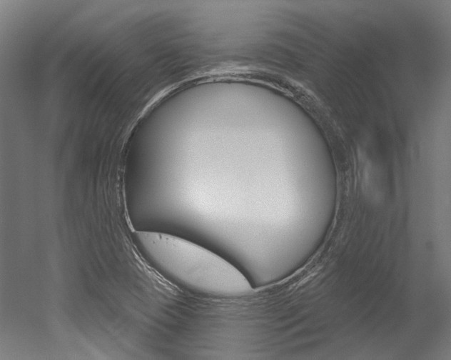 X0000052591409200507010927