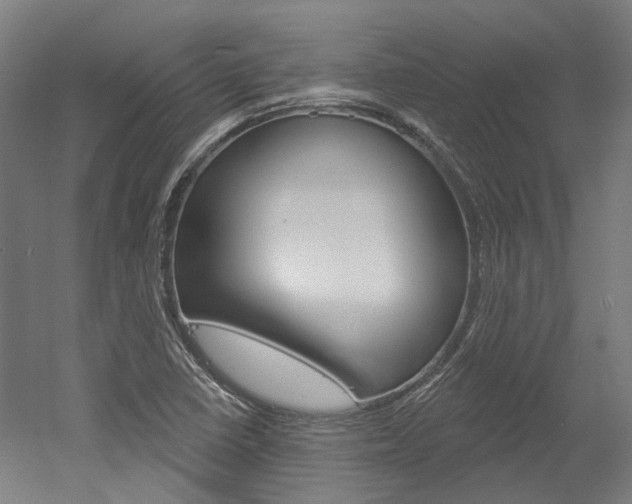 X0000052591410200507010927