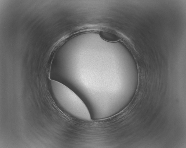 X0000052591411200507010927