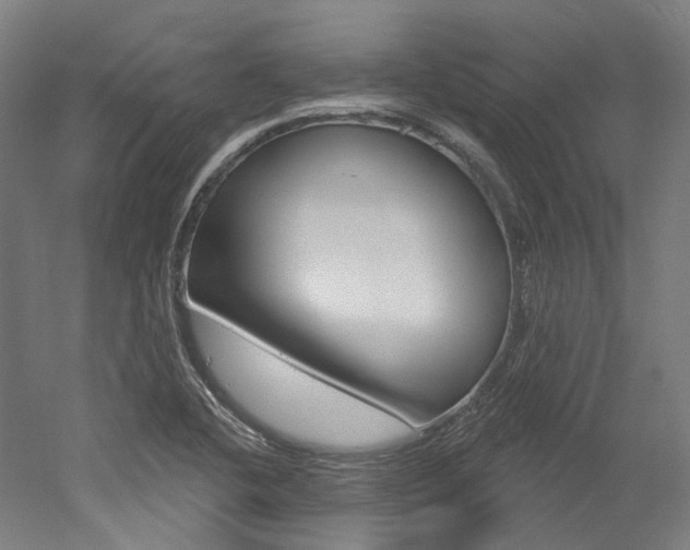 X0000052591412200507010927